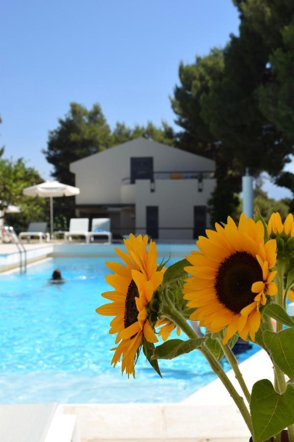 Villa Pefki Chania  Exterior photo